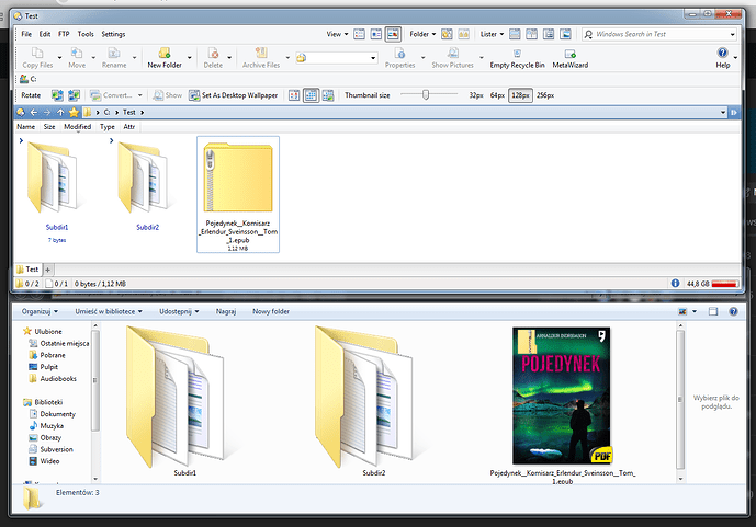 Thumbnail of EPUB Archive