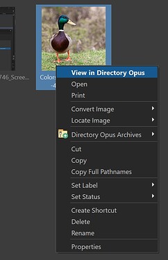 View in DOpus context menu