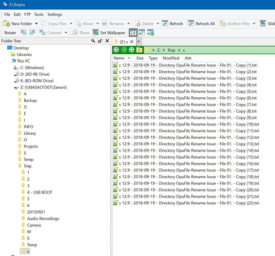 9%20-%20Files%20on%20NAS%20-%2005%20-%20after%20rename