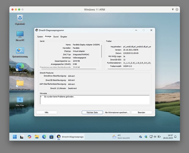 DxDiag_Display