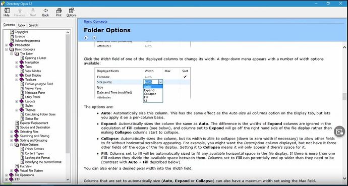 Directory Opus Folder Options
