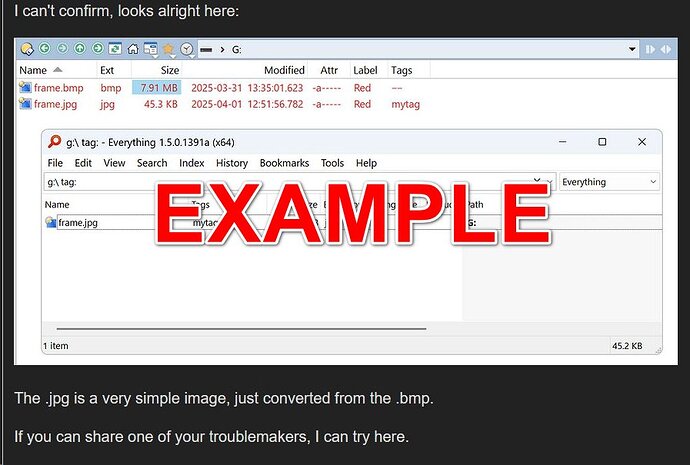 Troublemaker