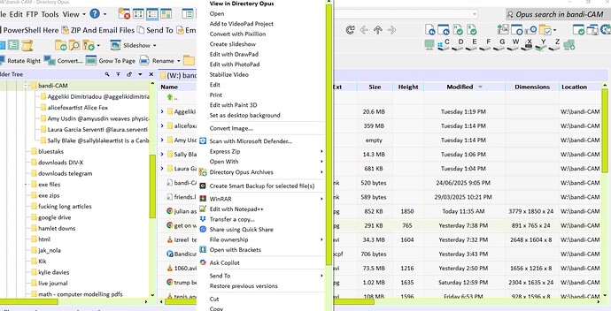 directory opus - drop down menu - delete  iteems