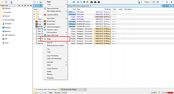 share item in Files context menu