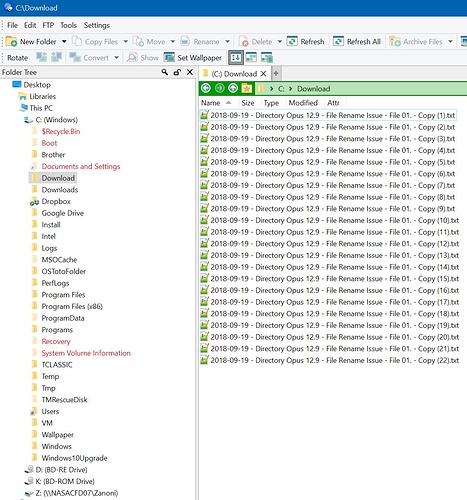 9%20-%20Files%20on%20DRIVE%20C%20-%2001%20-%20before%20rename