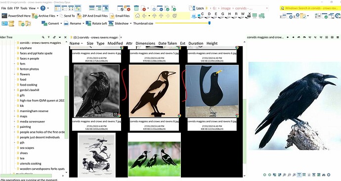 black backgroung