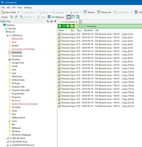 9%20-%20Files%20on%20DRIVE%20C%20-%2005%20-%20after%20rename