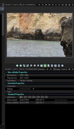 RW2 in Image Viewer