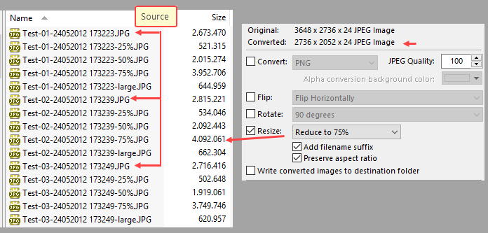 snagit 9 is defaulting to large image size