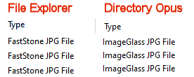 Type Column - File Explorer & Directory Opus Text