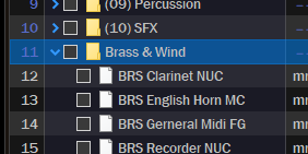 Selected Folder
