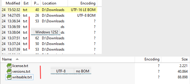 SnagIt-28072024 160844