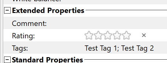 tagspaces import tags file types