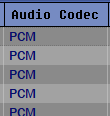 Audio Codec