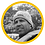 roadriquelme