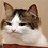 Unregistered_User